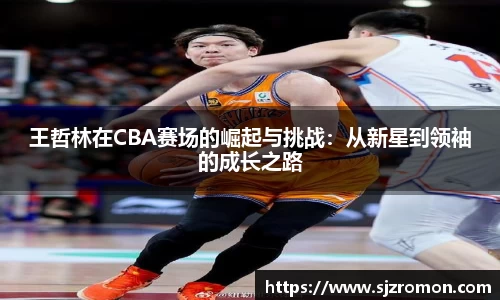 王哲林在CBA赛场的崛起与挑战：从新星到领袖的成长之路